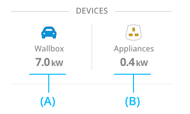 EMS Home Screen Consumption Section